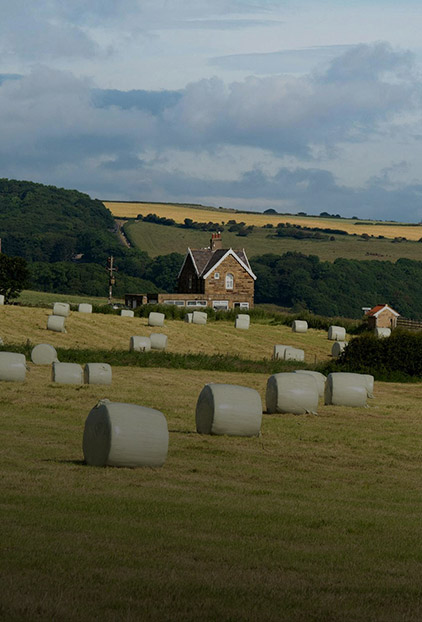垃圾堆填区&农场